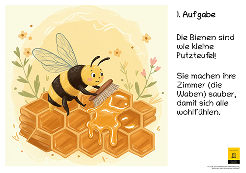 12-teiliges Poster-Set aus edlem Kunstdruckkarton – für Kindergarten, Volksschule und Imkerverein (Kopie)