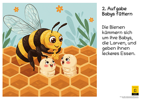 12-teiliges Schautafel-Set aus robustem Hartschaum – für Kindergarten, Volksschule und Imkerverein