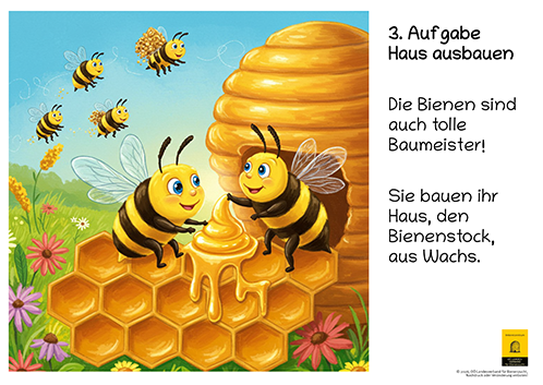 12-teiliges Schautafel-Set aus robustem Hartschaum – für Kindergarten, Volksschule und Imkerverein