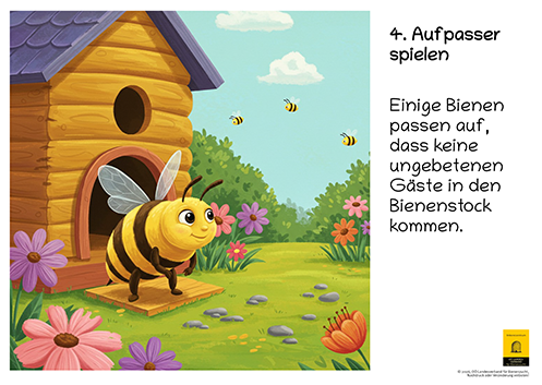 12-teiliges Schautafel-Set aus robustem Hartschaum – für Kindergarten, Volksschule und Imkerverein