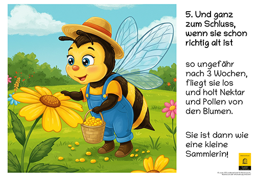12-teiliges Schautafel-Set aus robustem Hartschaum – für Kindergarten, Volksschule und Imkerverein