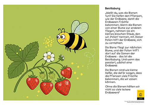 12-teiliges Schautafel-Set aus robustem Hartschaum – für Kindergarten, Volksschule und Imkerverein
