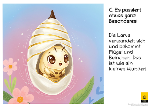 12-teiliges Schautafel-Set aus robustem Hartschaum – für Kindergarten, Volksschule und Imkerverein