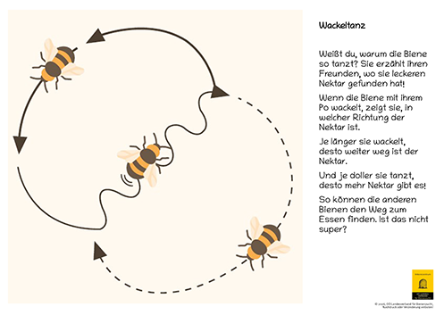 12-teiliges Schautafel-Set aus robustem Hartschaum – für Kindergarten, Volksschule und Imkerverein