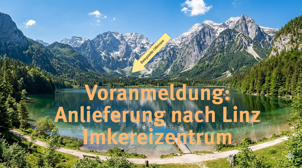 Auffahrt für Belegstelle Offensee