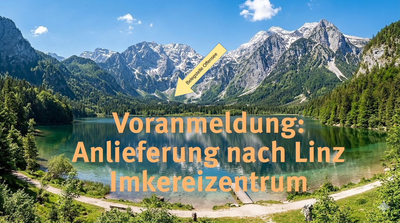 Auffahrt für Belegstelle Offensee