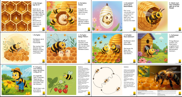 12-teiliges Schautafel-Set aus robustem Hartschaum – für Kindergarten, Volksschule und Imkerverein