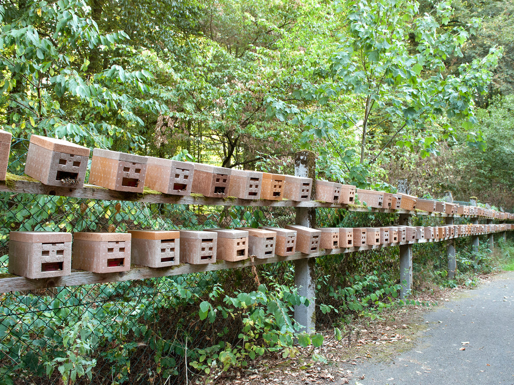 Auffahrt für Belegstelle Offensee