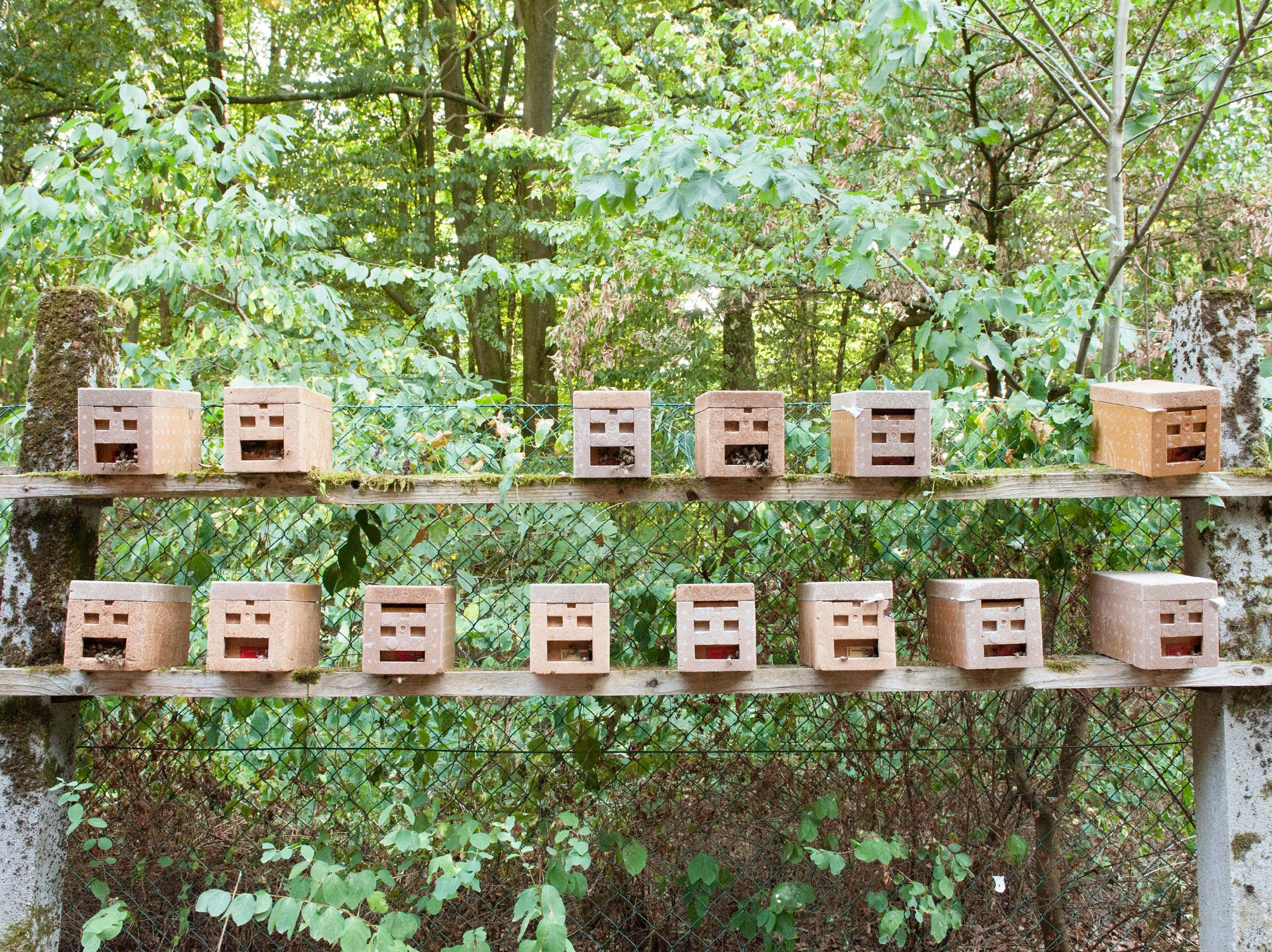 Auffahrt für Belegstelle Offensee
