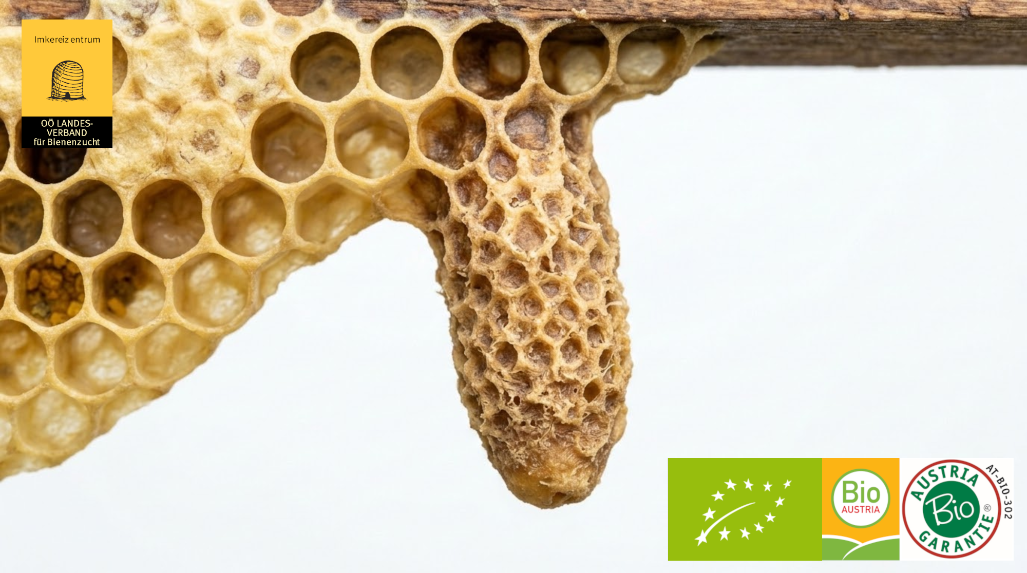 Bio - schlupfreife Weiselzellen aus SMR-Zucht